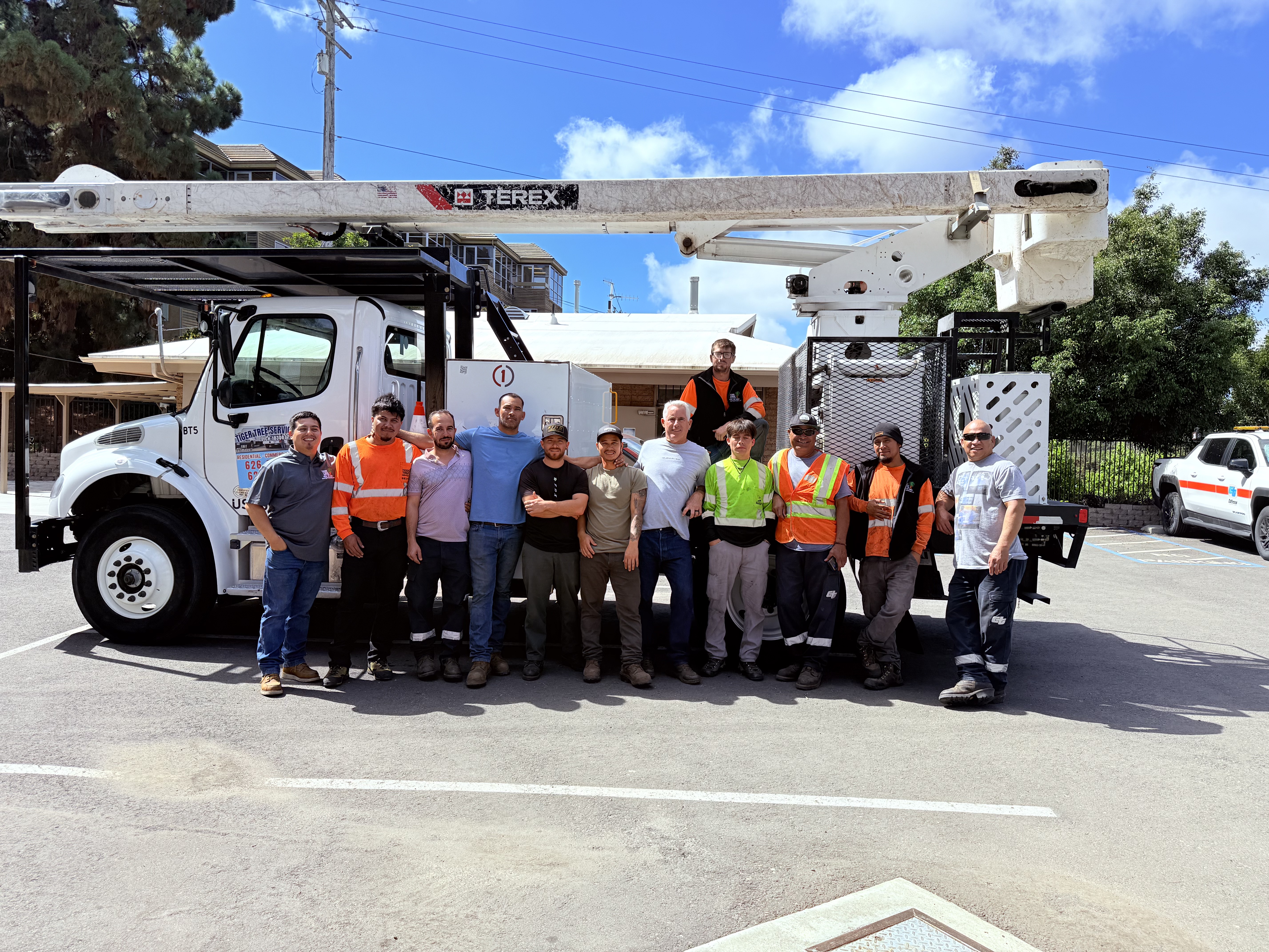 Safety Arbor Pros crew of certified arborists